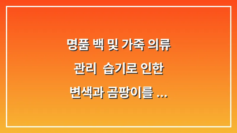 명품 백 및 가죽 의류 관리: 습기로 인한 변색과 곰팡이를 막는 전용 보관법 대표 이미지
