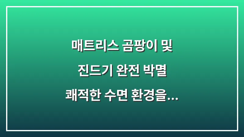 매트리스 곰팡이 및 진드기 완전 박멸: 쾌적한 수면 환경을 위한 분석가 가이드 대표 이미지