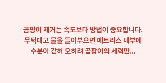 매트리스 곰팡이 제거법: 곰팡이 제거는 속도보다 방법... (1)