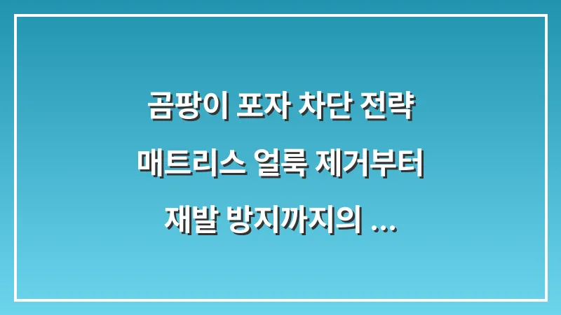 곰팡이 포자 차단 전략: 매트리스 얼룩 제거부터 재발 방지까지의 분석 데이터 대표 이미지