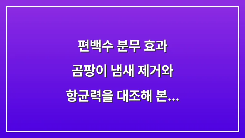 편백수 분무 효과: 곰팡이 냄새 제거와 항균력을 대조해 본 실생활 적용 결과 대표 이미지