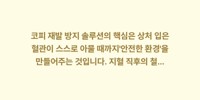 코피 재발 방지 솔루션: 코피 재발 방지 솔루션의 핵... (2)