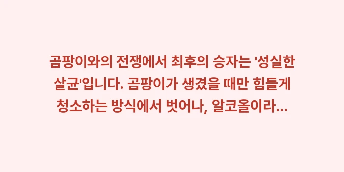 곰팡이 재발 방지 알코올 소독: 곰팡이와의 전쟁에서 최후의... (2)