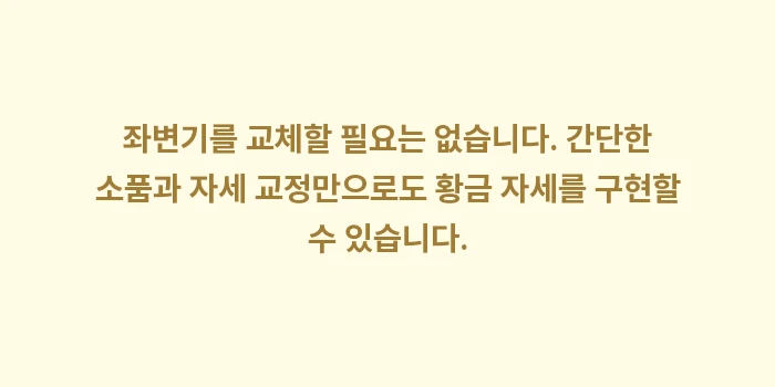 배변 자세와 장 건강: 좌변기를 교체할 필요는 없습... (1)