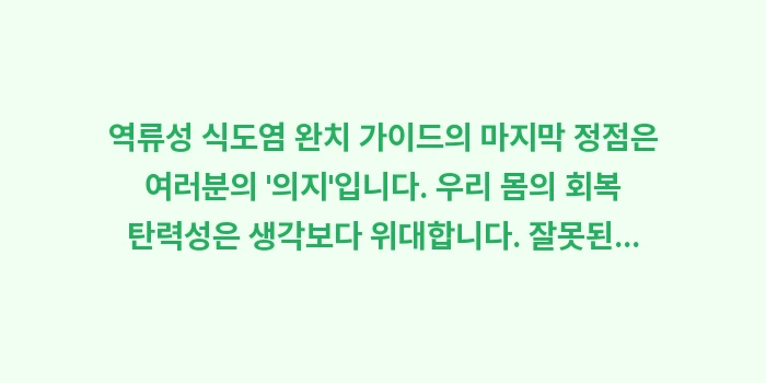 역류성 식도염 완치 가이드: 역류성 식도염 완치 가이드의... (2)