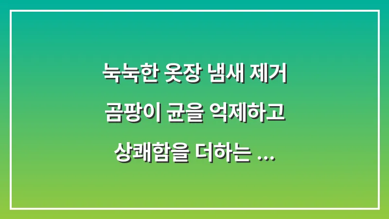 눅눅한 옷장 냄새 제거: 곰팡이 균을 억제하고 상쾌함을 더하는 섬유 관리법 대표 이미지