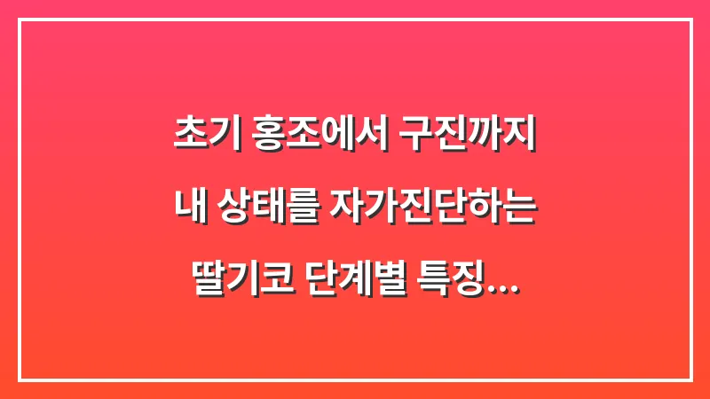 초기 홍조에서 구진까지: 내 상태를 자가진단하는 딸기코 단계별 특징 비교 대표 이미지