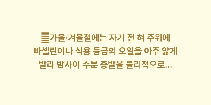 계절별 혀 관리법: ✔가을·겨울철에는 자기 전... (1)