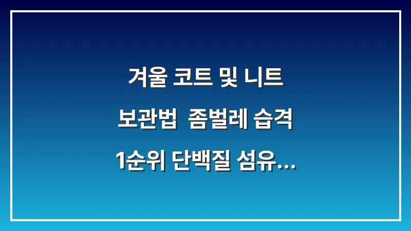 겨울 코트 및 니트 보관법: 좀벌레 습격 1순위 단백질 섬유 완벽 보호 전략 대표 이미지