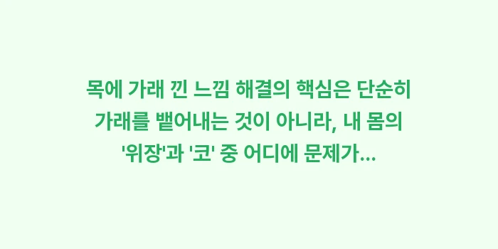 목에 가래 낀 느낌 해결: 목에 가래 낀 느낌 해결의... (2)