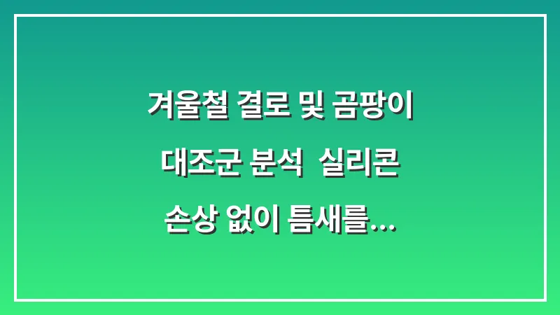 겨울철 결로 및 곰팡이 대조군 분석: 실리콘 손상 없이 틈새를 관리하는 법 대표 이미지